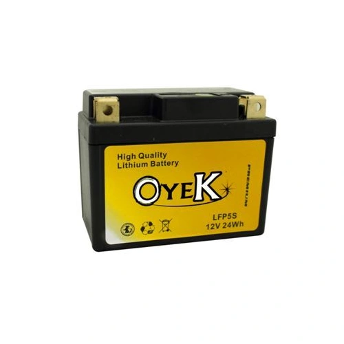 Oyek Premium Lithium Batteries - LFP01 