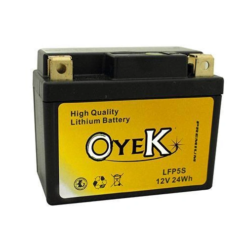 Oyek Premium Lithium Batteries - LFP20L 