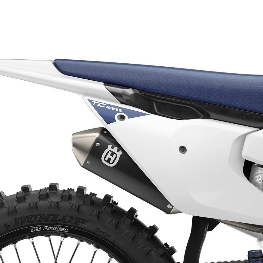 Exhaust system
