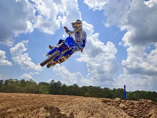 YZ styling