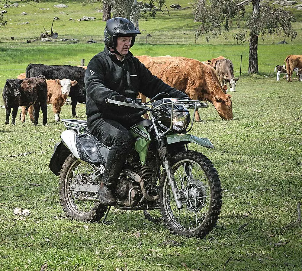 2026 Stockman