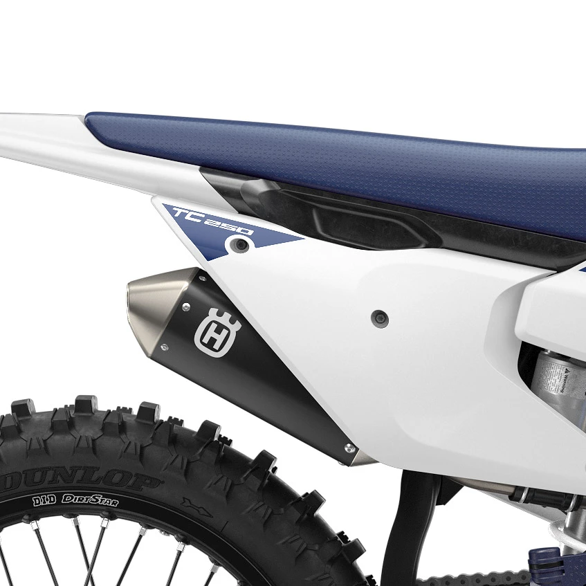 Exhaust system