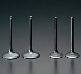 High-performance intake and exhaust valves