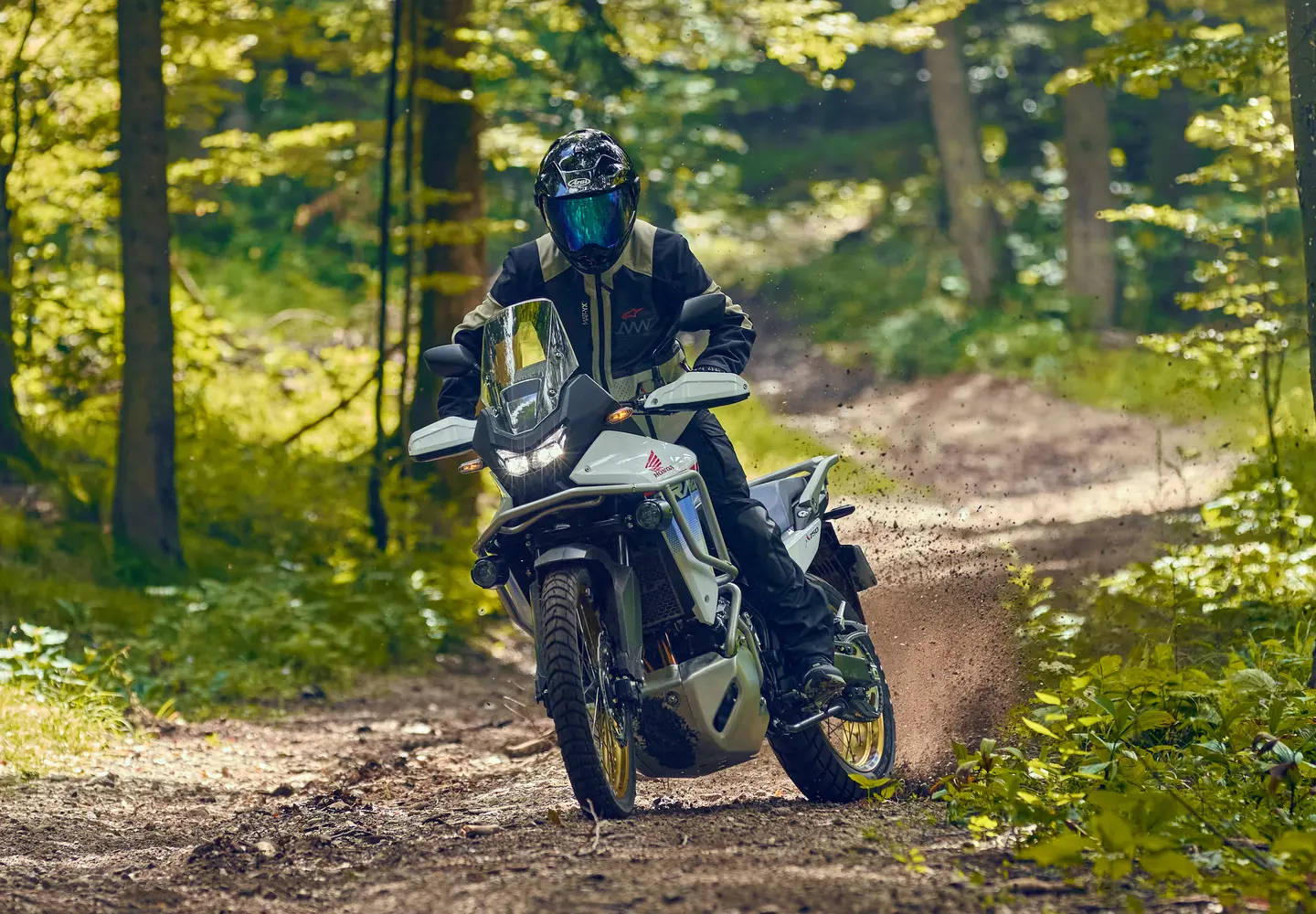 Handling and Rider Dynamics