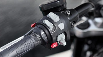 Heated Grips