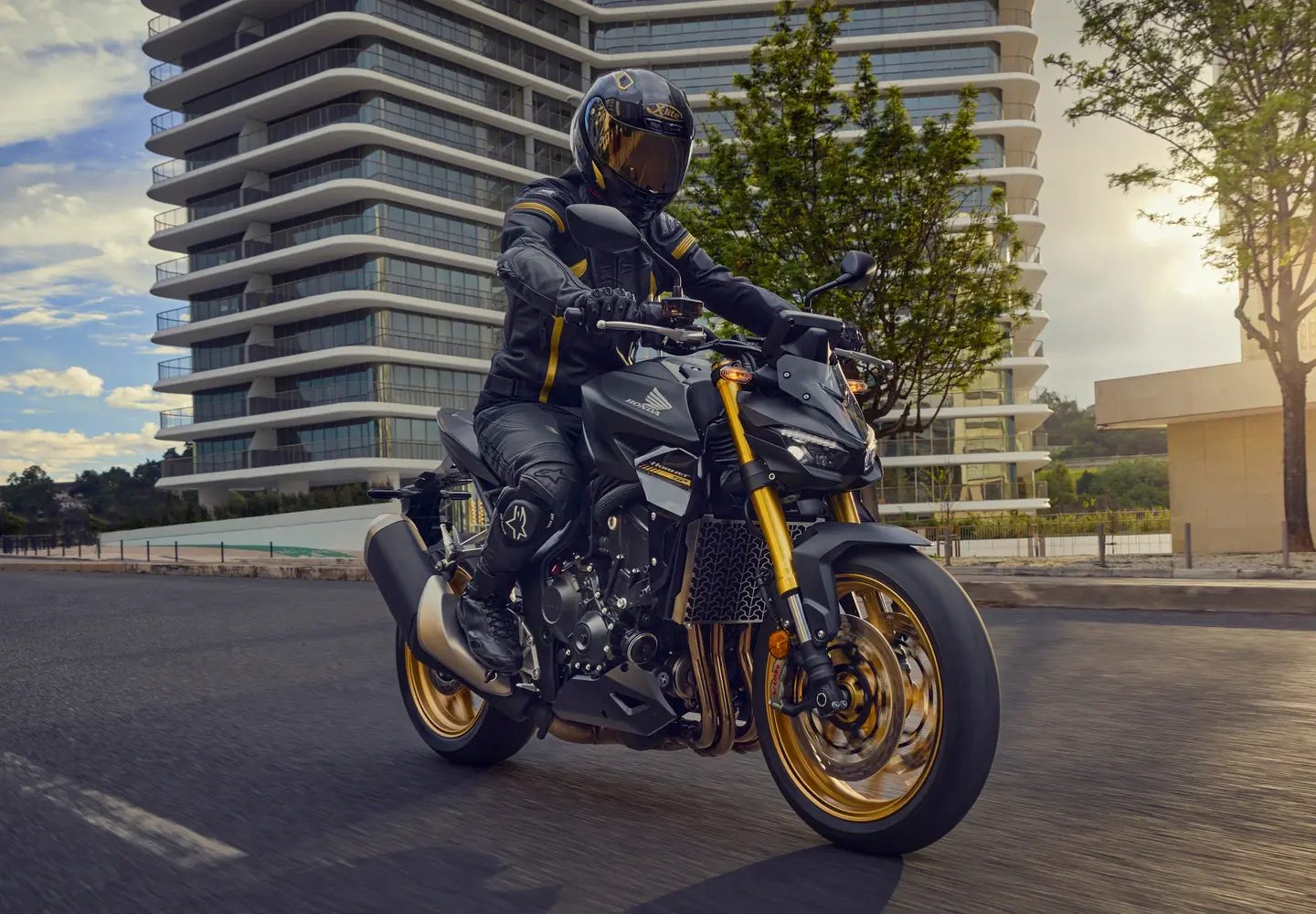 Signature Hornet Styling