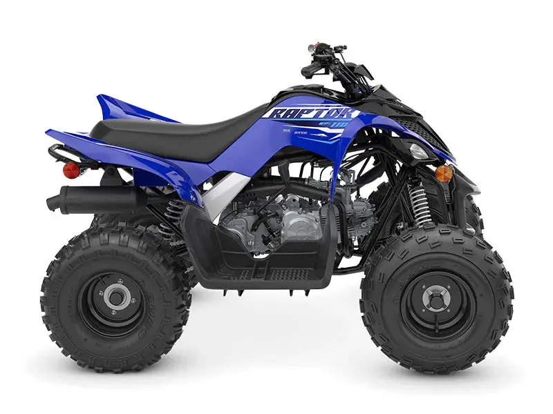 RAPTOR 110