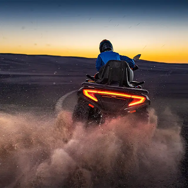 ELECTRONIC THROTTLE